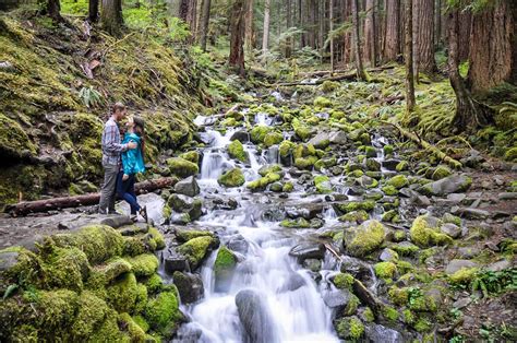 Things to do in olympic national park. Things To Know About Things to do in olympic national park. 